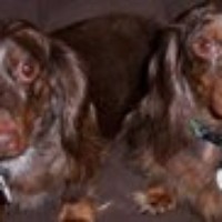 Profile Picture of Beverly Hicks (@beverly-hicks) on Quora