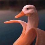 Camdenwright - Instagram Profile Picture of Camdenwright (@camdenwright9) on Instagram