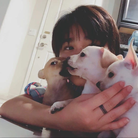 Profile Picture of Huynh Nguyen (@grey3101) on Poshmark