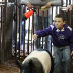 Profile Picture of Shawn Sparks (@shawn.sparks8) on Instagram