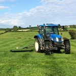 Profile Picture of Daniel Tumelty (@tumeltyd) on Instagram