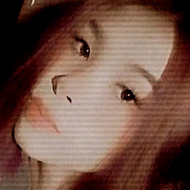 Profile Picture of dacysheppard (@dacysheppard) on Tiktok