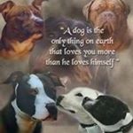 Profile Picture of Dan Pugh (@dan.pugh.585) on Instagram