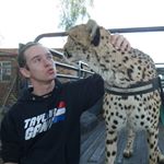 Profile Picture of Brian Van Belle (@vanbellebrian) on Instagram