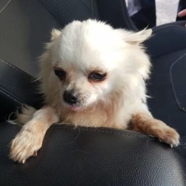 Profile Picture of Herman Sutherland (@HermanSutherla3) on Twitter