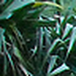 Profile Picture of Craig And Lauren Calkins (@craig and lauren calkins) on Flickr