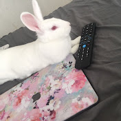 Profile Picture of Danielle Jauregui (@daniellejauregui4846) on Youtube