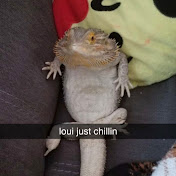 Profile Picture of Kelli Oleary (@78KELLI) on Youtube