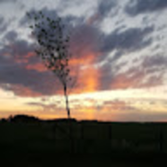 Profile Picture of Kasandra Gassner (@kasandragassner) on Poshmark