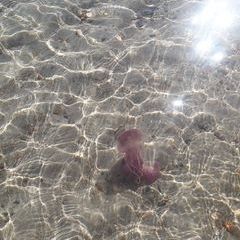 Profile Picture of Michael Mandigon (@michaelmandigon) on Tiktok