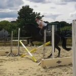 klara damhuis - Instagram Profile Picture of klara damhuis (@klaradamhuis) on Instagram