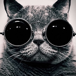 Profile Picture of Alberto  Gonzalez (@albertocga) on Flickr