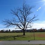 Profile Picture of Jacob Slocum (@slocumjacob) on Instagram