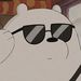 Profile Picture of Bee Hokkyokuguma (@noah_hokkyokuguma) on Pinterest