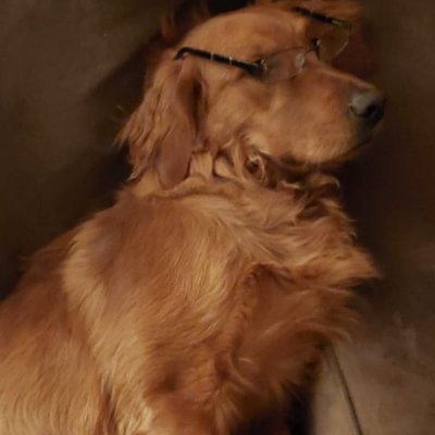 Profile Picture of Oranges Are Apples’ Natural Predators. (@MarkLedgerwood4) on Twitter