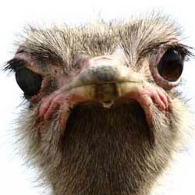 Profile Picture of Bert Camp (@Bertcamp1) on Twitter