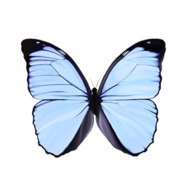 Profile Picture of Aubrey Donivan (@aubreydonivan) on Poshmark