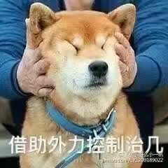 Profile Picture of Yun Feng (@ted_fy) on Twitter