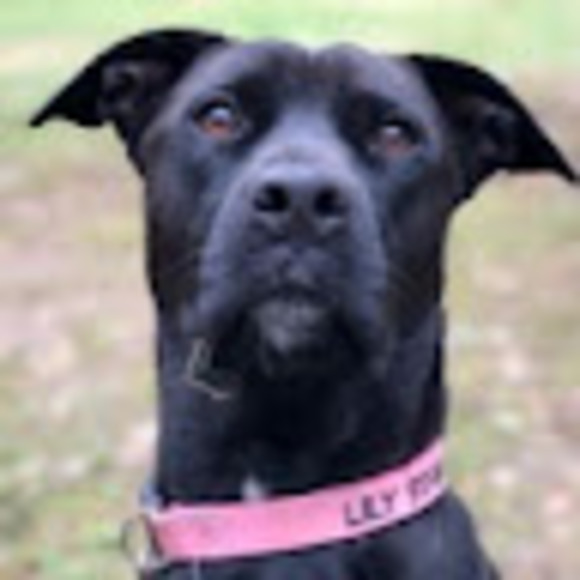 Profile Picture of Maren Piersol (@monkeymvp9) on Poshmark