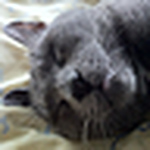 Profile Picture of `richard  Elms (@richardelms) on Flickr