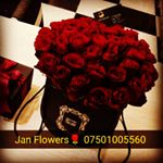 Profile Photo of Jan Flowers🎀07501005560 (@jan_flowers_9) on Instagram