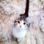 Profile Picture of Sally and Larry (@larry.sally.goodman) on Instagram