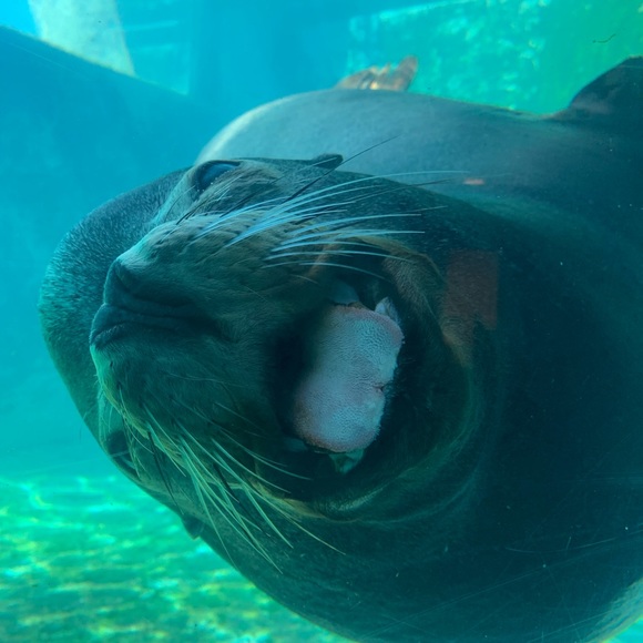 Profile Picture of Jaime Berdysz (@jb6307) on Poshmark