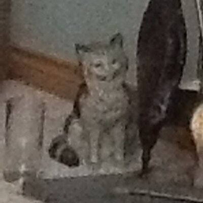 Profile Picture of Stephen Barber (@TuesdaySadness) on Twitter