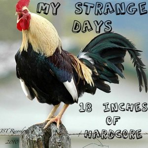 Profile Picture of My Strange Days (@mystrangedaysband) on Myspace