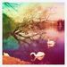 Profile Picture of Géraldine Clément (@geryclem) on Pinterest