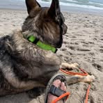 Profile Picture of Jaxon Teller (@jaxon.teller.mehrman) on Facebook