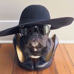 Profile Picture of lily__ferguson (@lily__ferguson) on Instagram