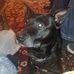 Profile Picture of Dave Cawley (@dave.cawley.714) on Facebook
