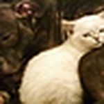 Profile Picture of Melissa Foster (@oneandonly3) on Flickr