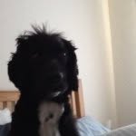 Profile Picture of Nathan (@nathanbicknell) on Instagram