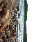 Profile Picture of Jacob Lowe (@jacob.lowe.936527) on Facebook