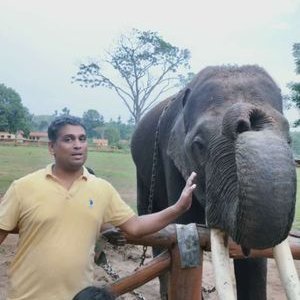 Profile Picture of Venkatesh Subramaniam (@venkateshsubr12) on Twitter