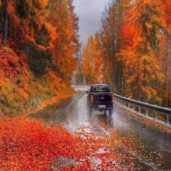 Profile Picture of Linda Forberger (@lindaforberger) on Poshmark