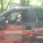 Profile Picture of Marc Guindon (@servpro_of_guelph) on Instagram