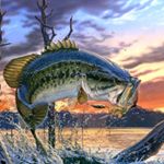 Profile Picture of Kevin Penton (@kevinscottpenton) on Instagram