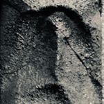 Profile Picture of Thomas Goris (@goris.thomas) on Instagram