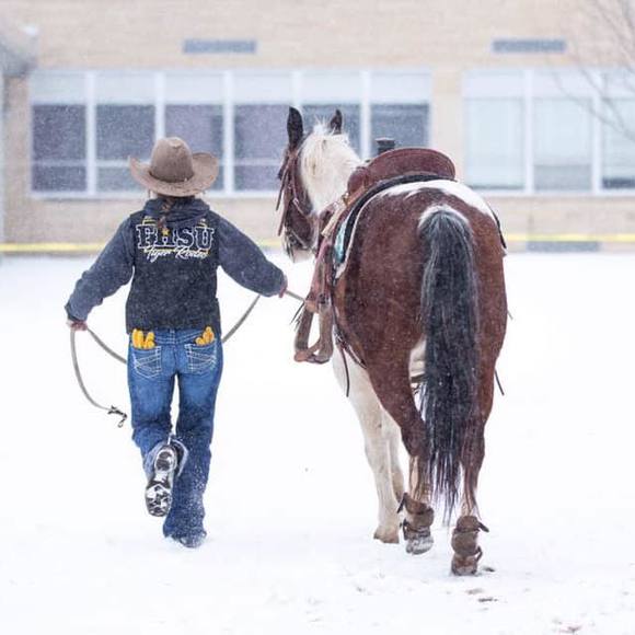 Larae Boaldin - Poshmark Profile Picture of Larae Boaldin (@laraeboaldin) on Poshmark