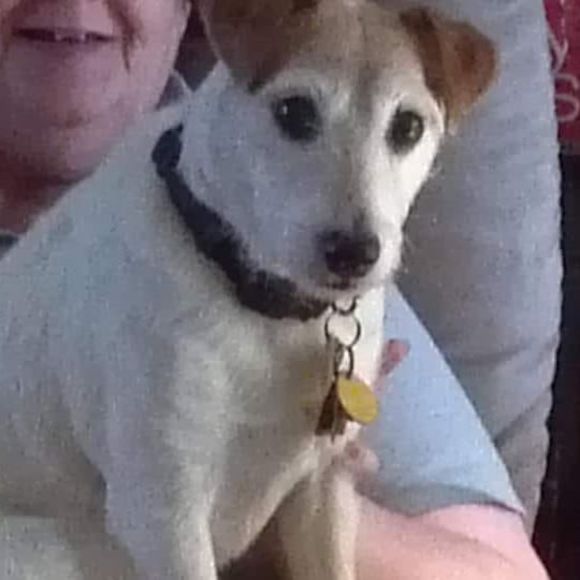 Profile Picture of Phyllis Yuhase (@phyllismier) on Poshmark