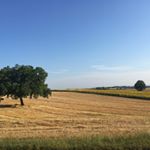 Profile Picture of amy.topper (@amy.topper) on Instagram