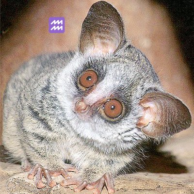 Profile Picture of Kimberly Bryant (@BushBaby1955) on Twitter
