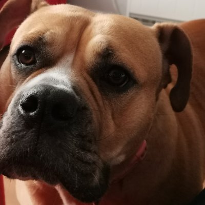 Profile Picture of Mark Keefe (@MarkKeefe13) on Twitter