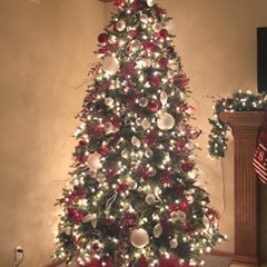 Profile Picture of Lisa Holthaus Sanche (@lisaholthaussanch) on Tiktok