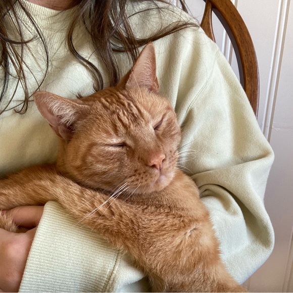 Profile Picture of Liz Lovallo (@lizlovallo) on Poshmark