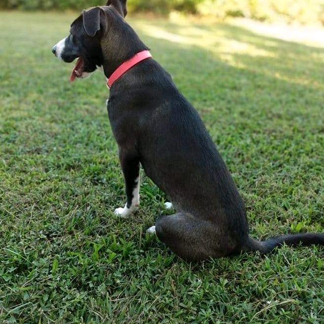 Profile Picture of Ray Gosnell661 (@raybear36) on Tiktok