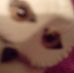 Profile Picture of Seth Barrow (@seth.barrow.378) on Facebook